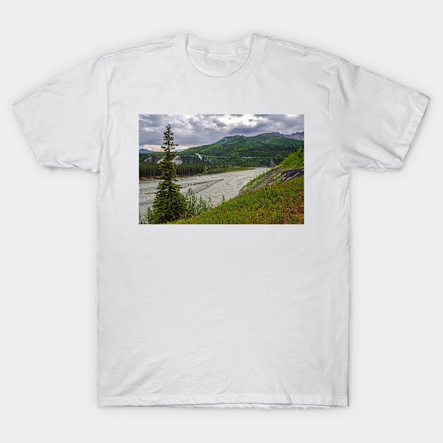 Scenic Denali View T-Shirt by andykazie